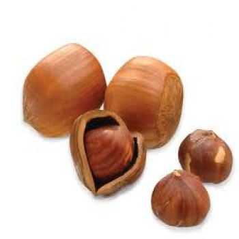 Hazel Nuts